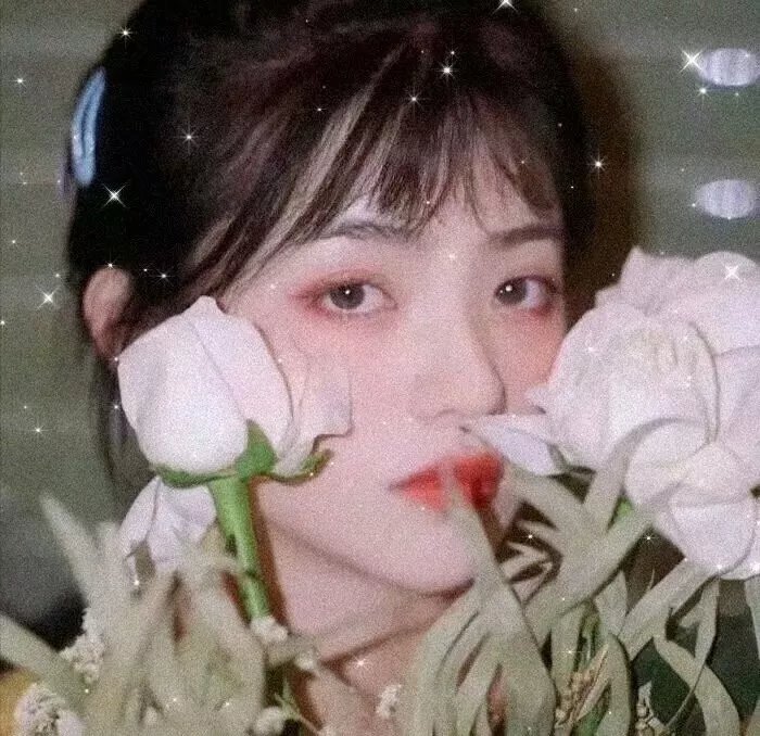 成凰录