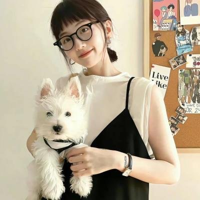 狗也爱钻石